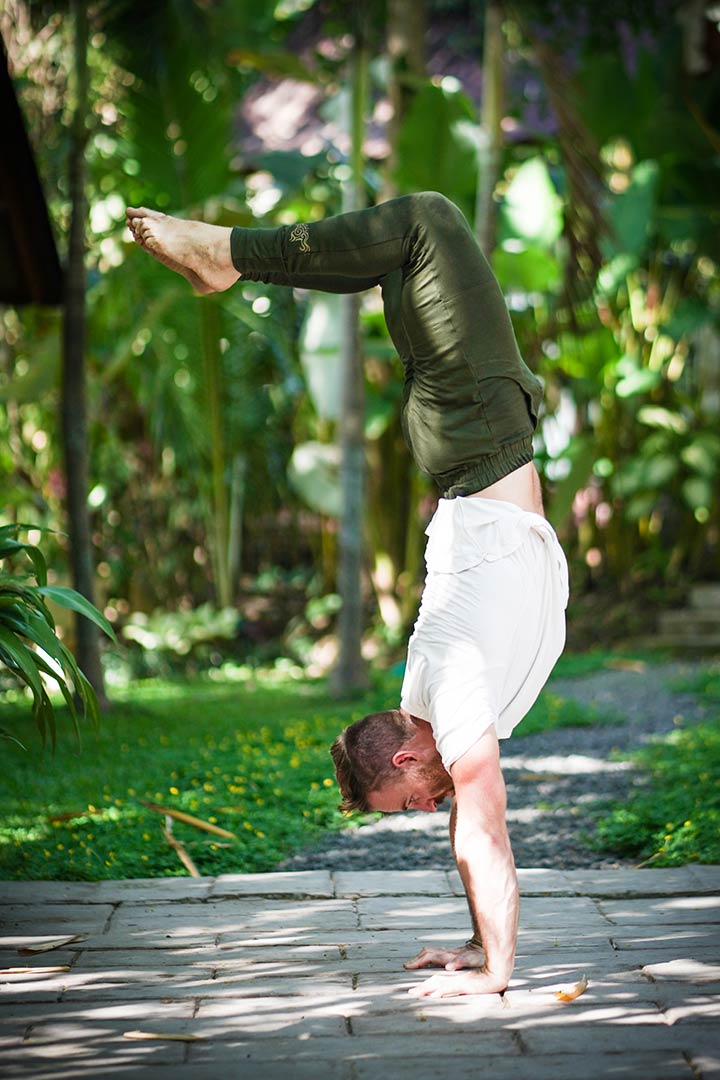 Men Bamboo Pants - Printed - Forest Green